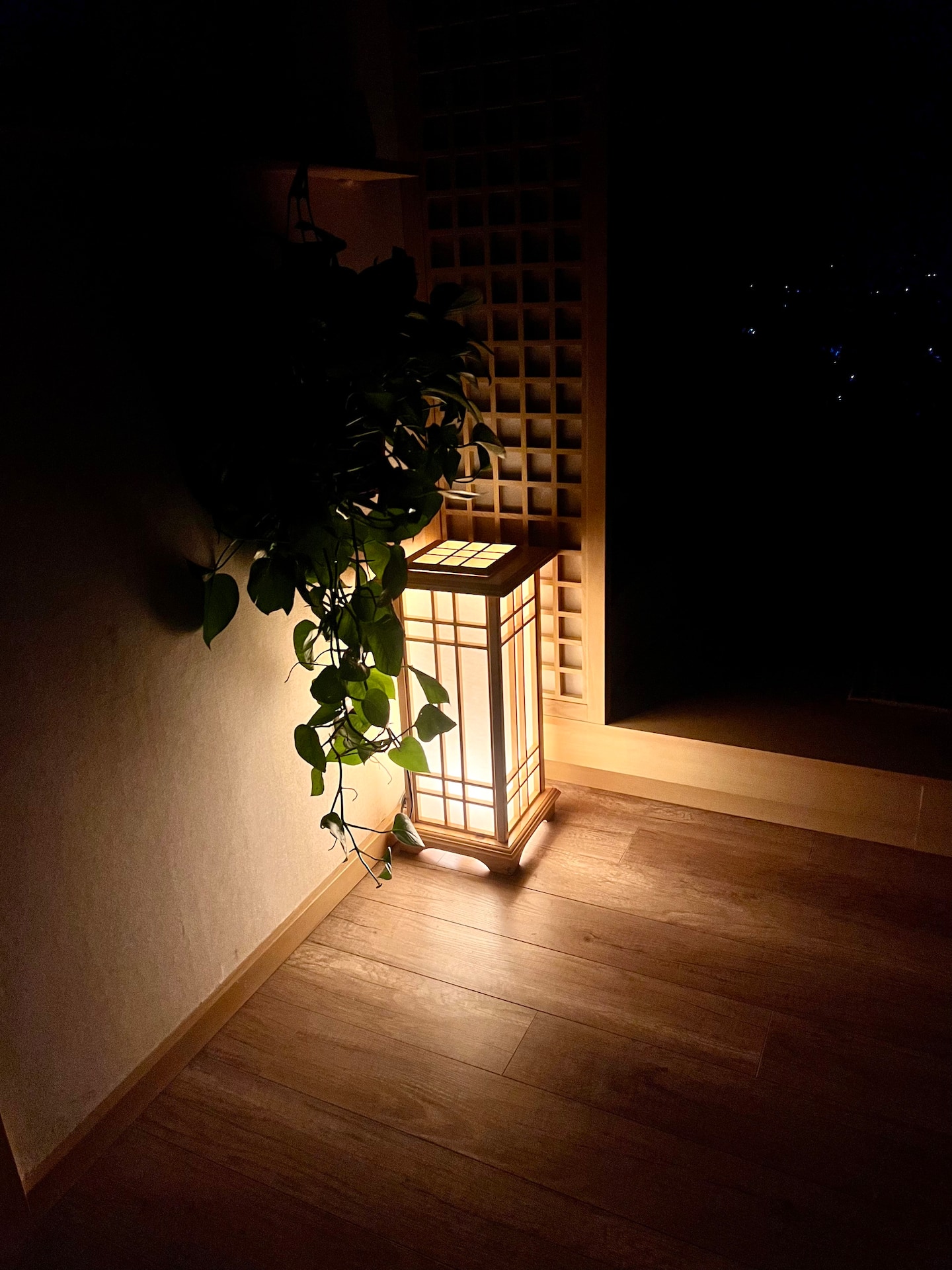 Atutu Home 3PN khoáng nóng & xông hơi — ảnh 25