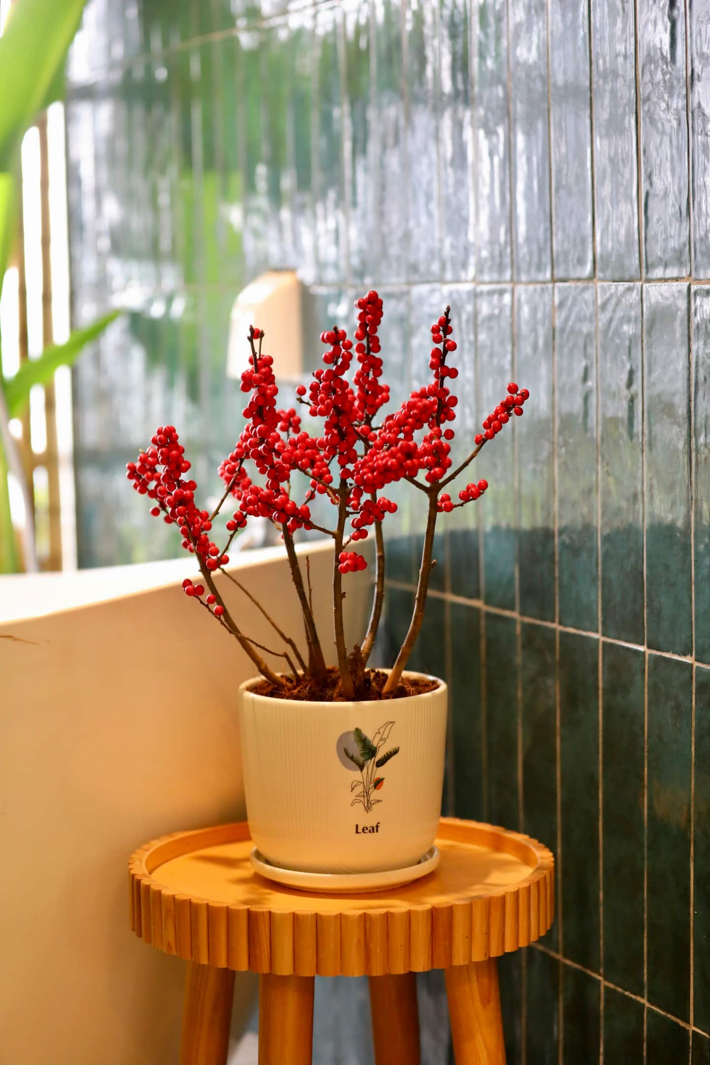 Atutu Home Sky Forest 1PN xanh — ảnh 76